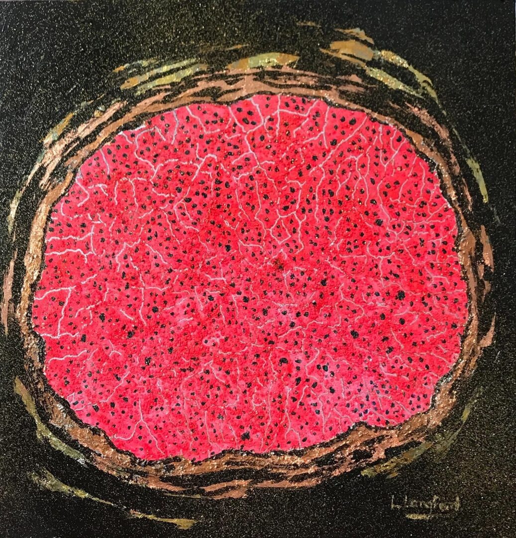 A painting of a pink circle on black background.