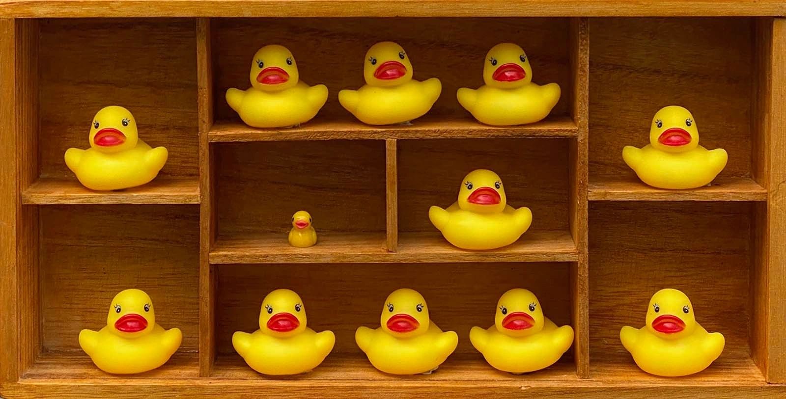 A wooden shelf with six yellow rubber ducks.