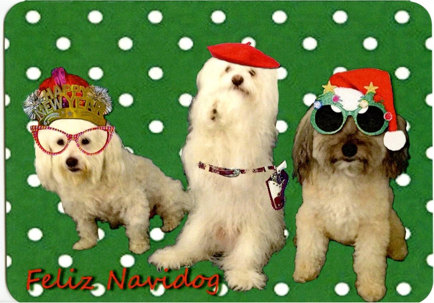 Three dogs wearing hats and glasses on a green background